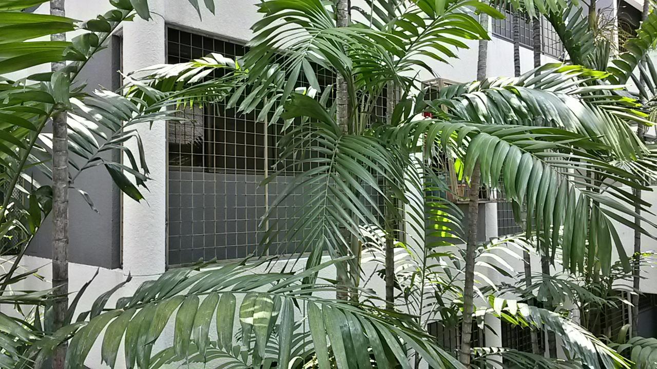 The Garden Apartment At Bangsar Kuala Lumpur Ngoại thất bức ảnh